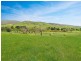 303 Omeo Highway, Omeo VIC 3898