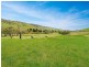 303 Omeo Highway, Omeo VIC 3898