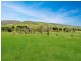 303 Omeo Highway, Omeo VIC 3898