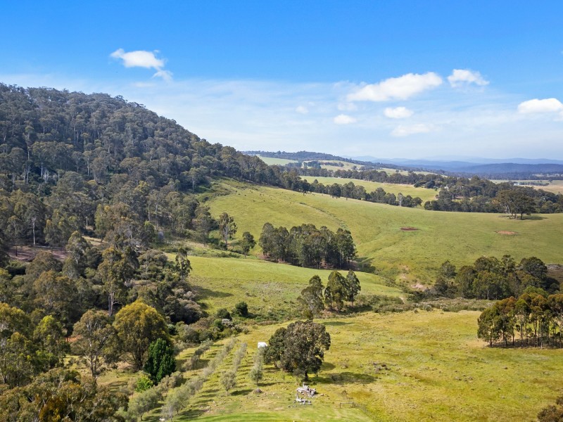 144 Beynons Road, Mount Taylor VIC 3875