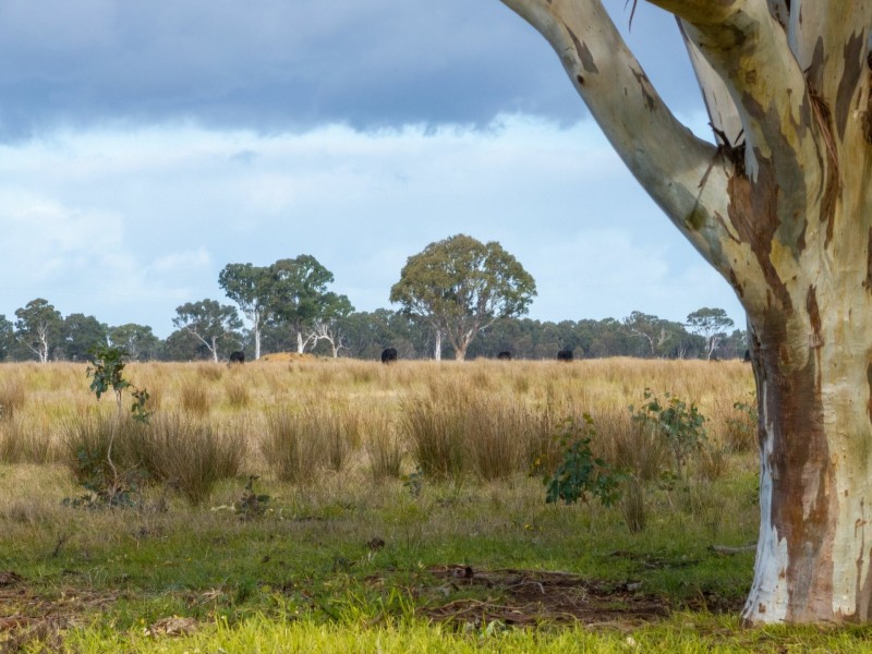 Lot 1/488 Bengworden Road, Bairnsdale VIC 3875