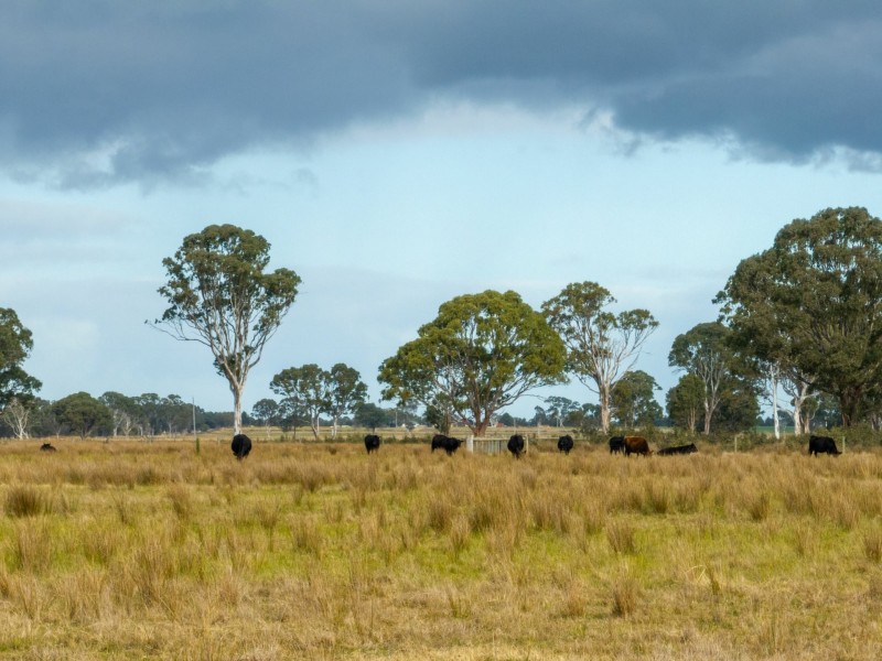 Lot 1/488 Bengworden Road, Bairnsdale VIC 3875