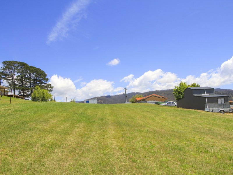 79 Sebastopol Hill Road, Omeo VIC 3898