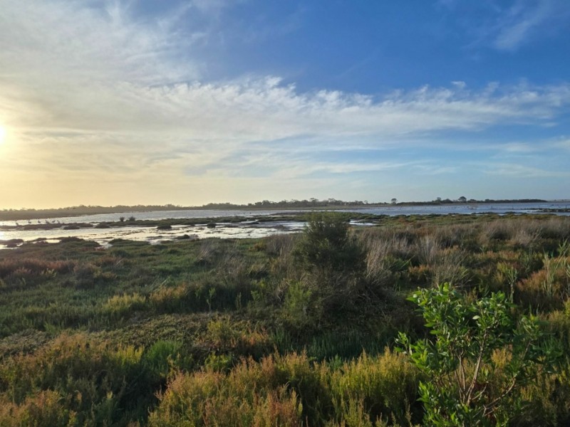 12 Deegan Avenue, Hollands Landing VIC 3862