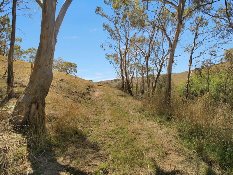 Lot 1/9320 Great Alpine Road, Omeo VIC 3898