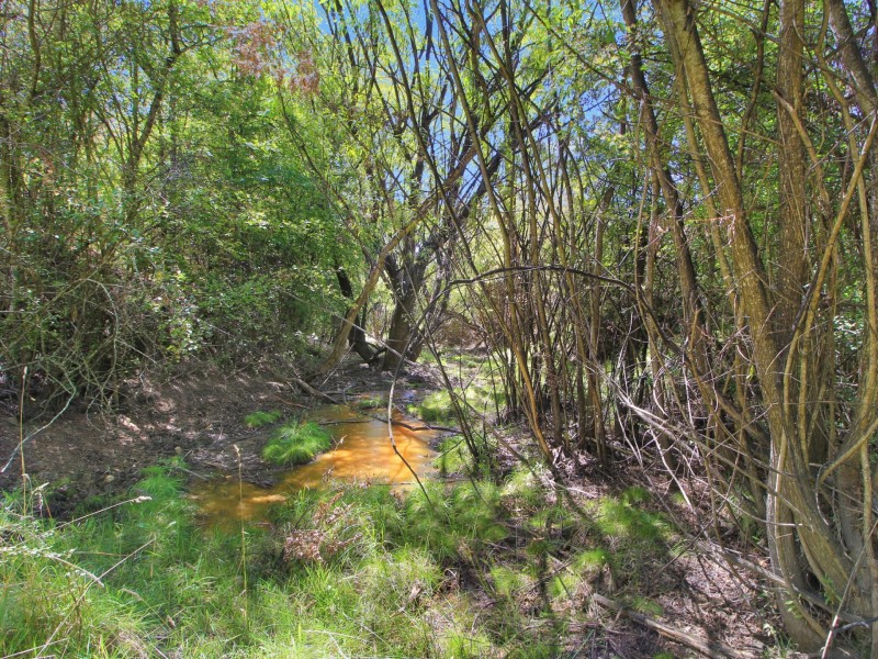 Lot 1/9320 Great Alpine Road, Omeo VIC 3898