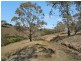 Lot 1/9320 Great Alpine Road, Omeo VIC 3898