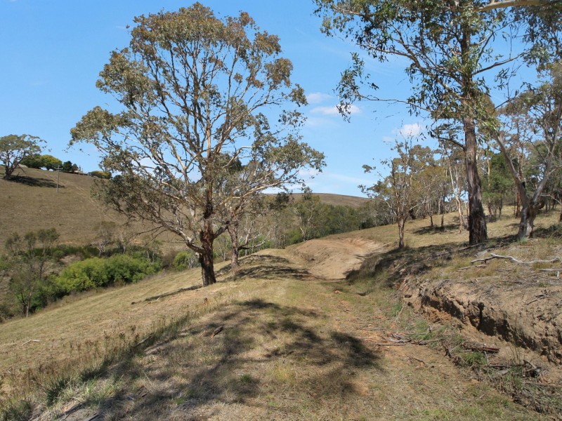 Lot 1/9320 Great Alpine Road, Omeo VIC 3898