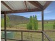 490 Great Alpine Road, Omeo VIC 3898