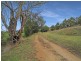 490 Great Alpine Road, Omeo VIC 3898