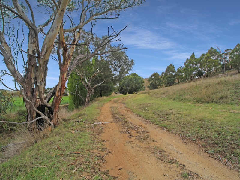 490 Great Alpine Road, Omeo VIC 3898