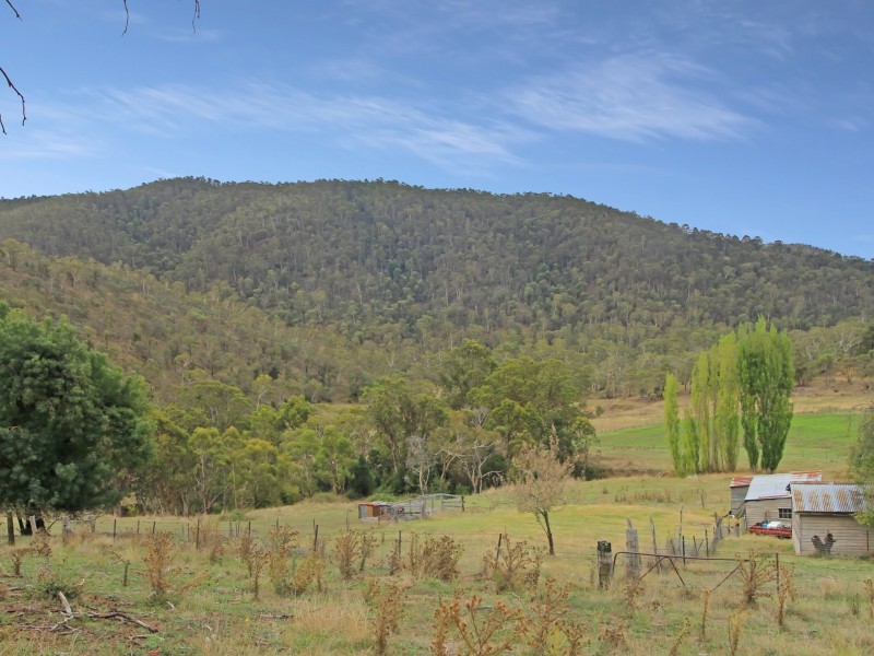 490 Great Alpine Road, Omeo VIC 3898