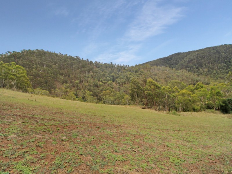 490 Great Alpine Road, Omeo VIC 3898