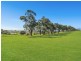 6 McBriar Court, Wy Yung VIC 3875