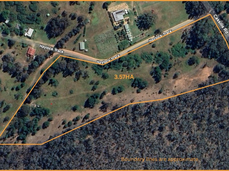29 Haylock Track, Swifts Creek VIC 3896
