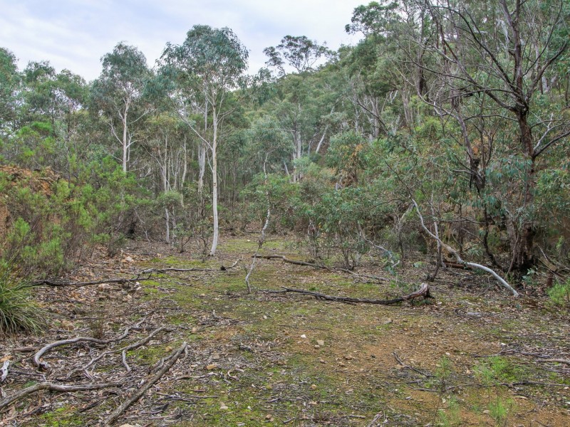 1648 Cassilis Road, Cassilis VIC 3898