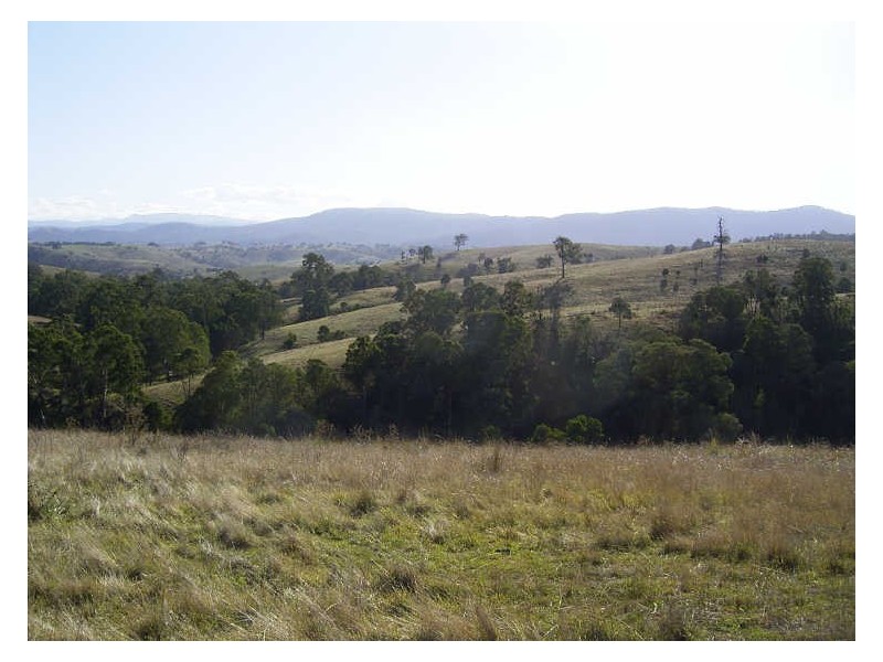 Breakfast Creek Road, Ensay VIC 3895