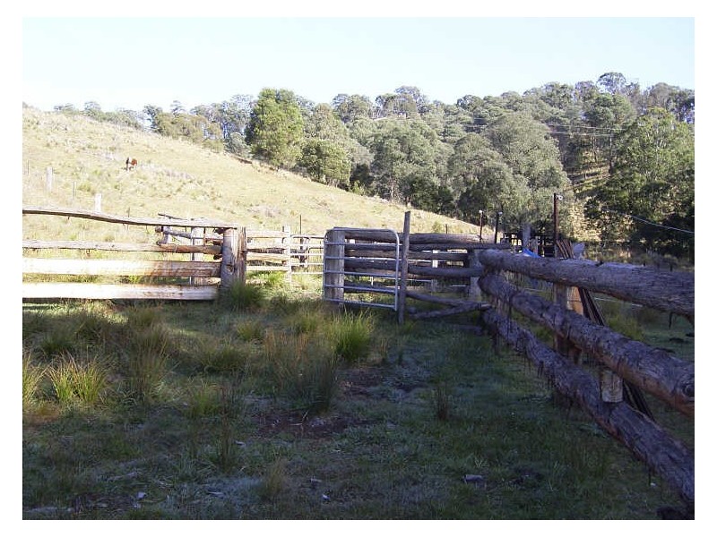 Breakfast Creek Road, Ensay VIC 3895