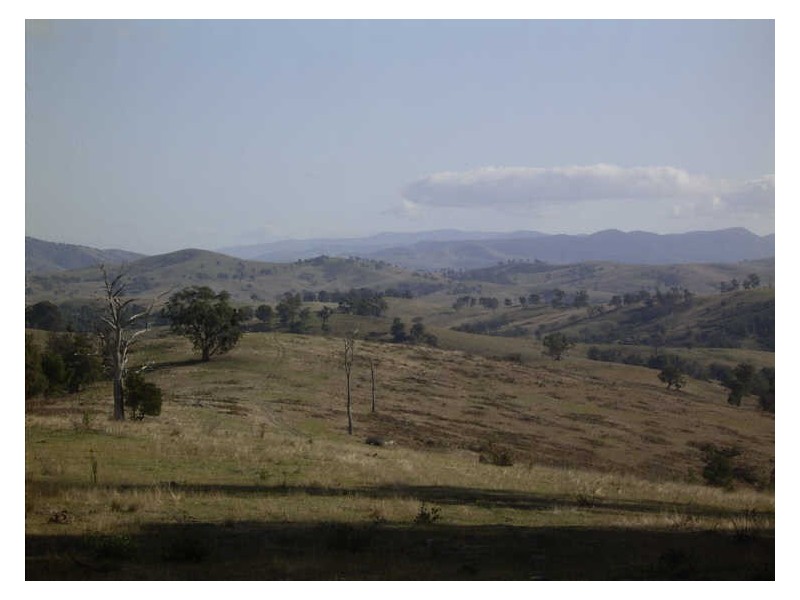 Breakfast Creek Road, Ensay VIC 3895