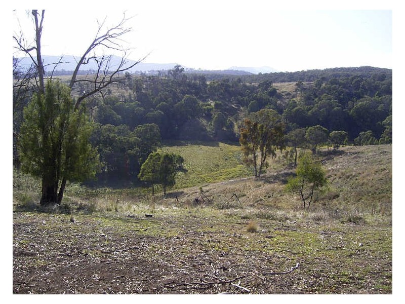 Breakfast Creek Road, Ensay VIC 3895