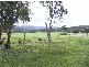 Flaggy Creek VIC 3875