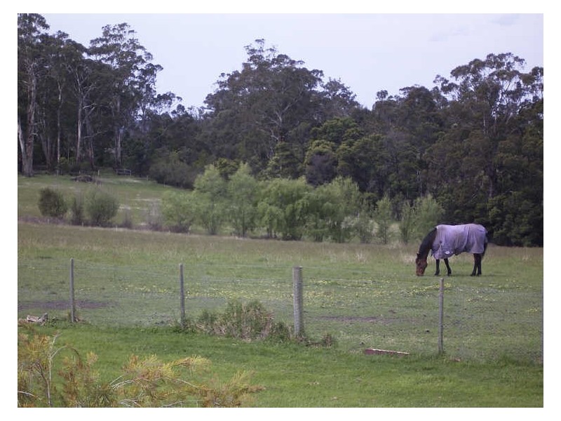 Lot 1 Stephensons & Swan Reach  Mossiface Road, Tambo Upper VIC 3885