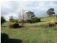 5090 Great Alpine Road, Ensay VIC 3895