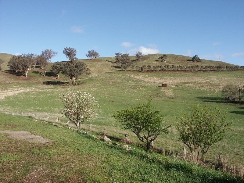 5090 Great Alpine Road, Ensay VIC 3895