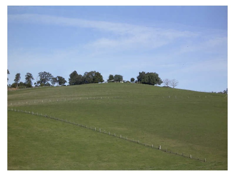 Riseholme Tambo Upper Road, Nicholson VIC 3882