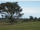 Lot 1 Kettles Lane, Johnsonville VIC 3902