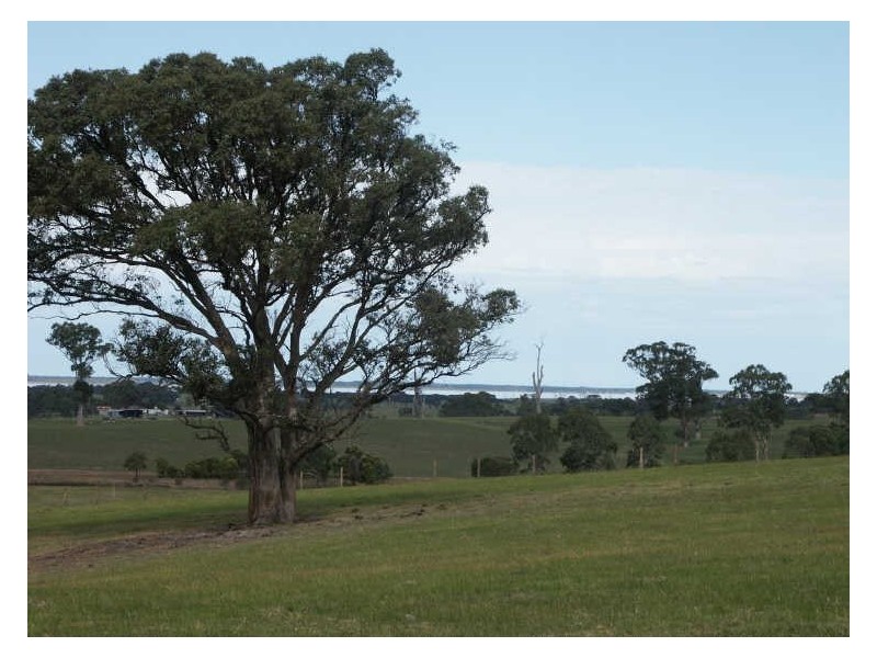 Lot 1 Kettles Lane, Johnsonville VIC 3902