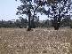 Lots 3 & 6 Princes Highway, Johnsonville VIC 3902