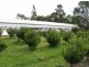 Sarsfield VIC 3875