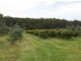 Sarsfield VIC 3875