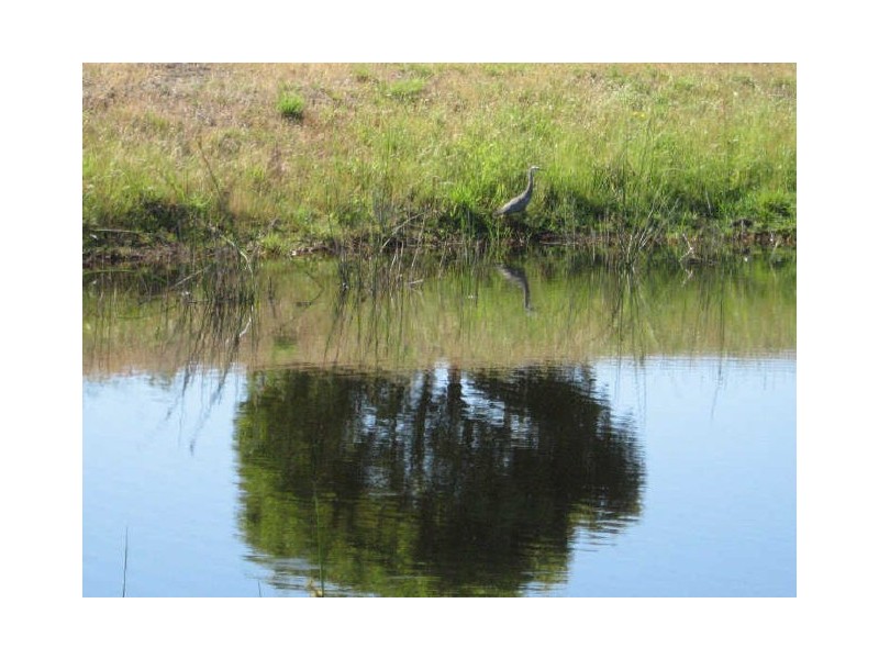 Clifton Creek VIC 3875