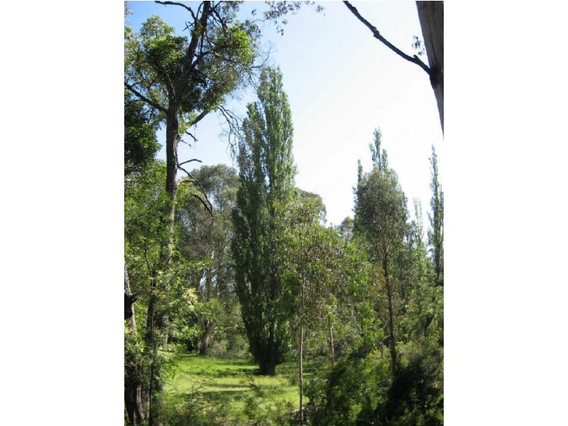 Clifton Creek VIC 3875