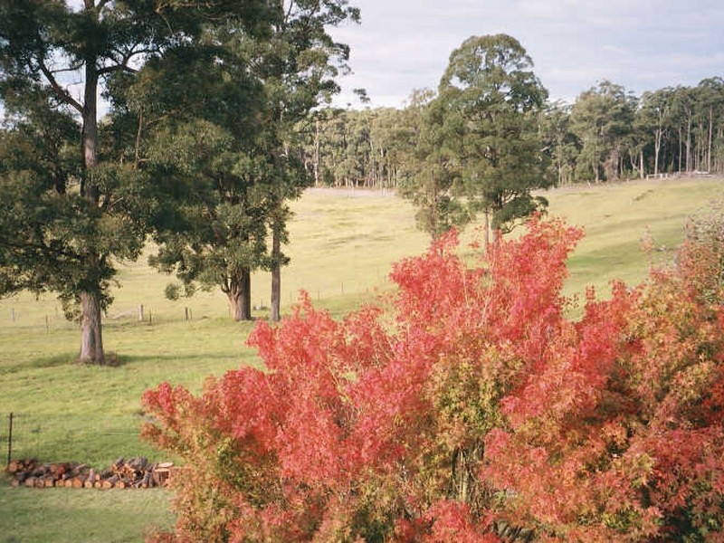 76 Eleven Mile Road, Bairnsdale VIC 3875