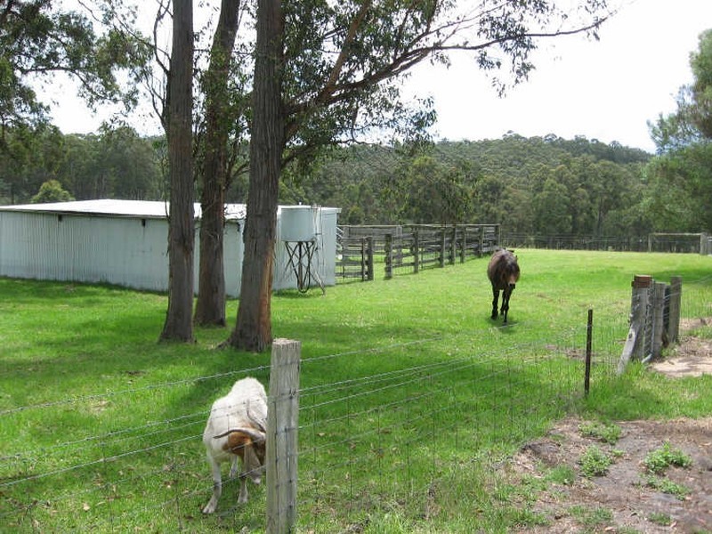 76 Eleven Mile Road, Bairnsdale VIC 3875