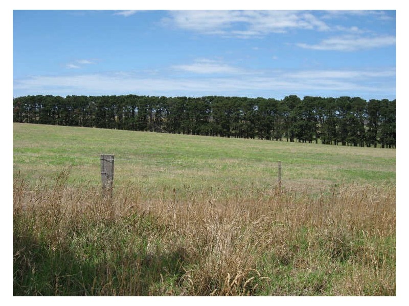 365 Clebyarra Road, Goon Nure VIC 3875