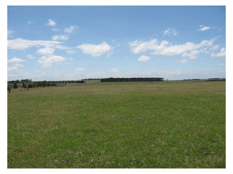 365 Clebyarra Road, Goon Nure VIC 3875