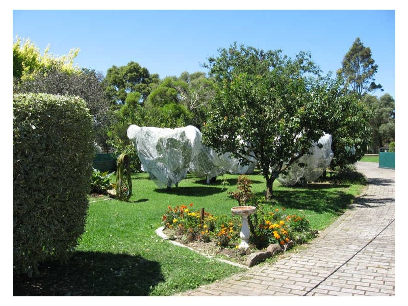 Bairnsdale VIC 3875