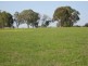 Bairnsdale VIC 3875