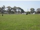 Bairnsdale VIC 3875