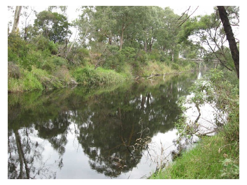 20 Carlyle Street, Sarsfield VIC 3875