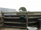 160 Stephensons Road, Nicholson VIC 3882