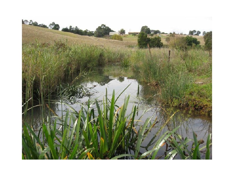 14A The Boulevarde, Wy Yung VIC 3875