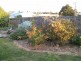 45 Hadfield Street, Bairnsdale VIC 3875