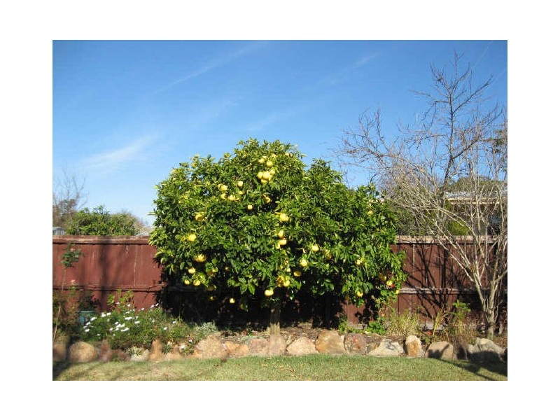 190 Bulumwaal Road, Wy Yung VIC 3875