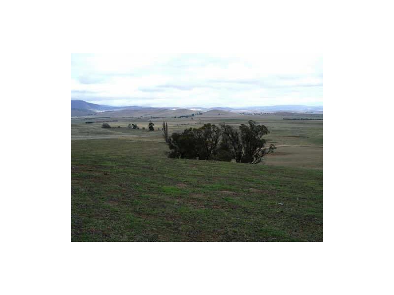 Nicholas Road, Benambra VIC 3900