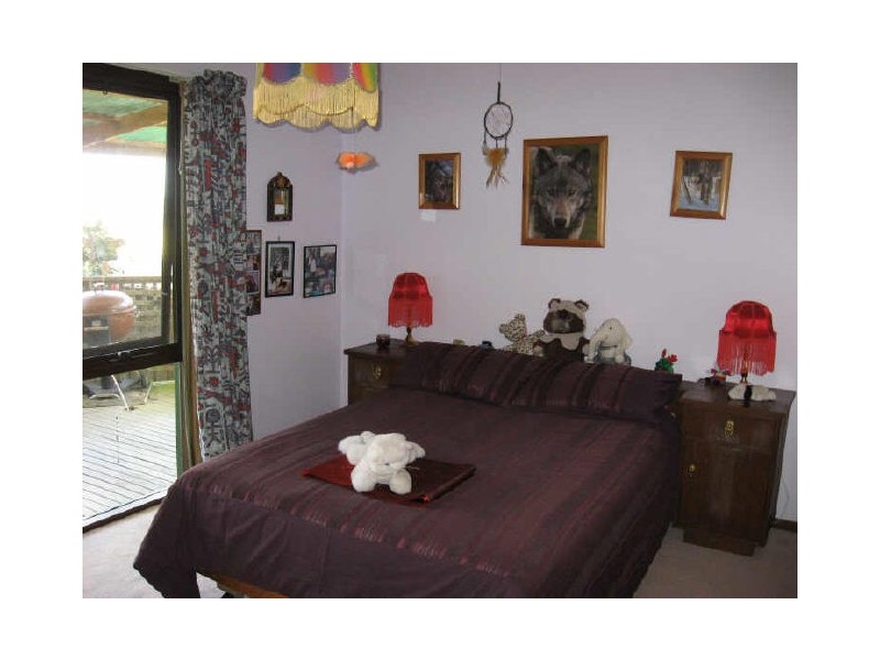 13 Delahunty Street, Bruthen VIC 3885